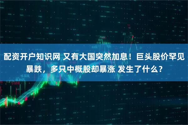配资开户知识网 又有大国突然加息！巨头股价罕见暴跌，多只中概股却暴涨 发生了什么？
