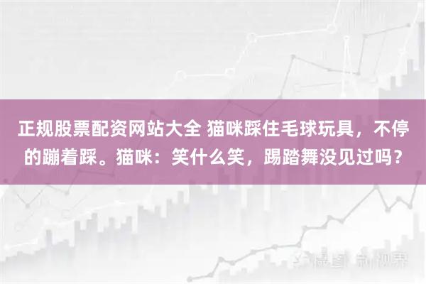 正规股票配资网站大全 猫咪踩住毛球玩具，不停的蹦着踩。猫咪：笑什么笑，踢踏舞没见过吗？